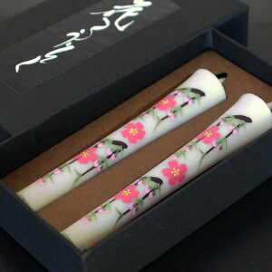 yzԂ낤z`G낤u v10cm2{yV܂̎`G낤zlR|X3܂ŉ\ Mtg G[\N Ԃ낤 i ފ ~ V~ r 
