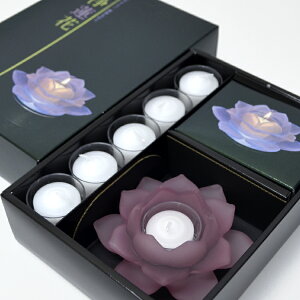 y@1z}GXu@ԃZbgvtXgp[v/LEDR[X^[y10T570V-02zypbP[WύX\zyzy傤񂩁zy@zyLhzyV~zy~zy݁z