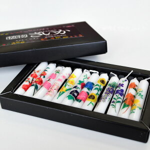 yAVxH|zA낤uv_} 12{yAT219zy3܂ŃlR|XOKzyAT219zy낤zy]ʃvgzyAzyA[\NzyG߂̉ԁzy12zylG