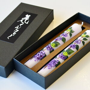 ySIWizzԂ낤uTLVLuijv12cm2{y`G낤zGXC G[\N Ԃ낤 i ފ ~ V~ r  䋟  낤