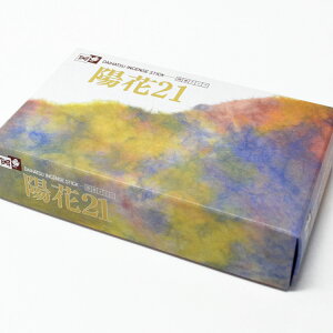 唭 z21 悤 ol N-21  Ȃ XeBbN `Iȍ   h SBNR T ґz K T V~ ~ ފ r  r͂͂ 