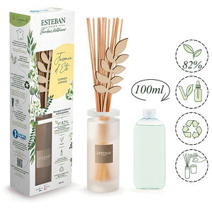 GXeo { CeAK[fi`[ T}[WX~ ^u[PfBt[U[[tOX fBtB[U[ I[KjbNAR[  WX~ XN o