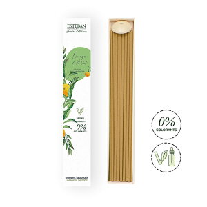 エステバン 日本香堂インテリアガーデンナチュール オレンジ&グリーンティー スティック40本入ルームフレグランス 室内香 ルームインセンス インセンス お香 スティック オレンジ グリー
