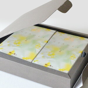 uԕ@ԋkv olEom{nka-fuhiӂj Ԃ̍ l k VgXt[ AvRbg WX~ t[X팸 GVJ Mtg i  ~