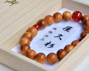 yzyvuXzv10mm/dk˔lyr֔Ozyp[Xg[zyzyzyqɉhzyz