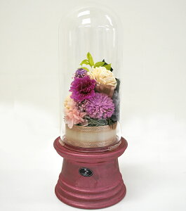 y󂠂胏SZ[zy20OFFzyB-1z vU[uht[ TCYm-RednLcāyvU[uht[zyLcāzyԁzy~jdzyzy󂠂zyiz