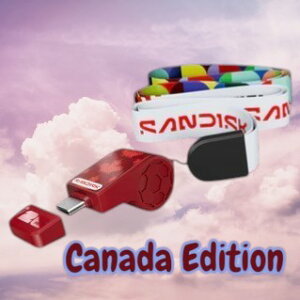 SanDisk �T���f�B�X�N FIFA 2026 USB������ 128GB USB-C ���胂�f�� �������C�Z���X ����300MB/s SDCZIA-128G-G46 �������K���ʕi