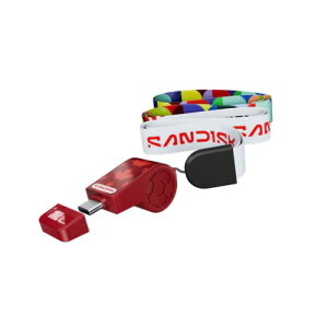 SanDisk �T���f�B�X�N FIFA 2026 USB������ 128GB USB-C ���胂�f�� �������C�Z���X ����300MB/s SDCZIA-128G-G46 �������K���ʕi