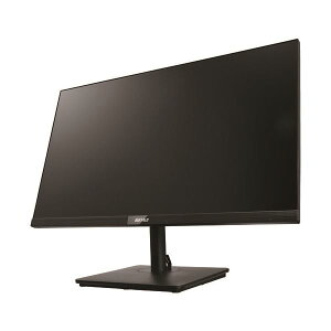 BUFFALO tfBXvC 23.8^ DSP-W2381HVBKZ