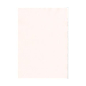 kzR[|[V IB̐F㎿ A4 Y   1(100)