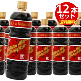 チョーコー醤油 だしの素 こいいろ 1L（12本セット）【送料無料(北海道・沖縄地域除く）】【あす楽対応】【メール便・コンパクト便不可】【チョーコー】