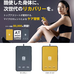 ���S�i10%OFF�N�[�|�����s���� �ɓ����Z�g������Ё@YB0012�@1277 1278�@ATmini CHARGE �{�̃Z�b�g �R���f�B�V���j���O�P�A�@�|�[�^�u���E�}�C�N���J�����g�@26SS