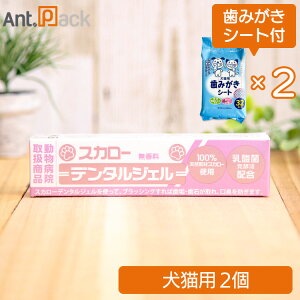 y݂V[g܂tzRꉻw XJ[f^WF  Lp 40g×2