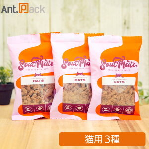 \ECg xCNh&GAhCt[h Lp 3A\[g(V[t[hE`LEbh~[ge1)mlR|Xn2܂