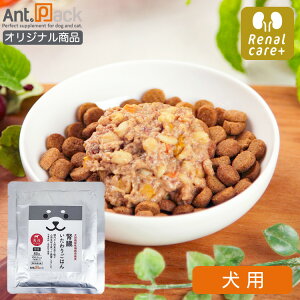 wj[AO̍ŏIvCXIxt育͂ n p 80g×1܁mlR|Xn12܂Łi50563jiܖF2025N1128j