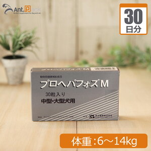  vwptHXM (^E^pj ̏d6kg`14kg 1130