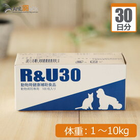 共立製薬 R&U30 犬猫用 体重1kg～10kg 1日1粒30日分