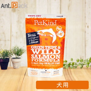 ybgJCh p O[gCv&ChT[  230gmlR|Xn2܂[00013]