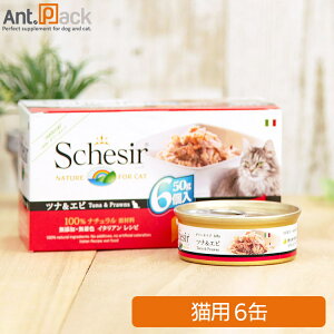 VVA Lbg ciGr Lp 50g×6(8005852753014)mlR|Xn2Zbg܂