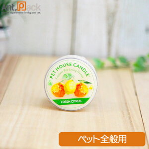 PET HOUSE Lh S tbVVgX ×1(21449)