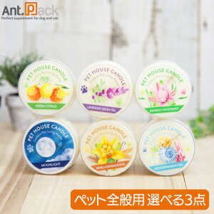 yIׂ3_zPET HOUSE Lh S6ނ̒炨DȃLh3_