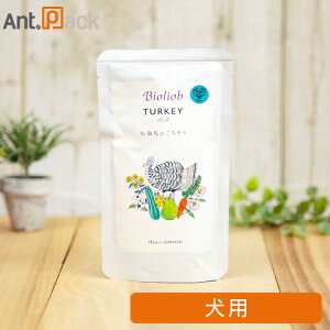 rII[uiw}j ^[L[EfBbV p 120g mlR|Xn8܂܂Łi53943j