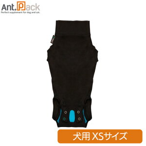 _bhEFC p Jo[EX[cXSyT|[^[Ep㕞zyz(53083)