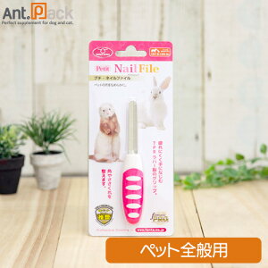 t@^W[[h v` lCt@C(X)(18059)