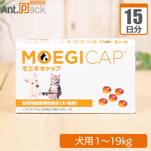  GMLbv p ̏d1kg`19kg 1115