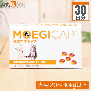  GMLbv p ̏d20kg`30kgȏ 1230
