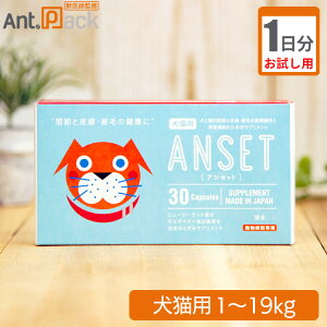 y1zGRWp AZbg Lp ̏d1kg`19kg 11