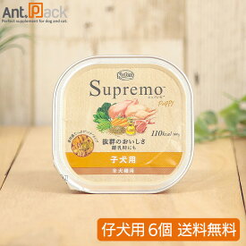 ニュートロ シュプレモ 子犬用 トレイ 100g×6個【送料無料】※同梱不可商品※(4902397861089)