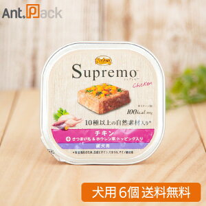 j[g Vv `L p gC[܂&zE gbsO] 100g×6yz(63496)