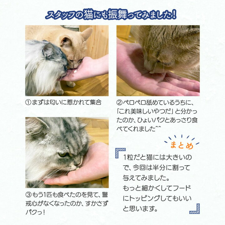 楽天市場】グルコサミン350 犬猫用 体重17.5kg〜20kg 1日4粒30日分 : ペット用サプリ専門 Ant.Pack 楽天市場】グルコサミン350 犬猫用 体重17.5kg〜20kg 1日4粒30日分 : ペット用サプリ専門 Ant.Pack