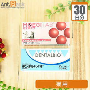 yTvZbg30zf^oCI 11 { GM^u 11 Lp