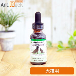 Aj}YApXL[ ~đEŃuh Lp 29.5mL i02996j