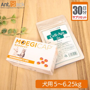 yTvZbg30zGMLbv 11JvZ{Zvg(^ubg) 12.5 p ̏d5`6.25kgyz