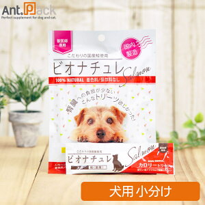 rIi`  J[g[c p 10g×1{ij(4560275080443)