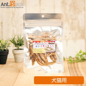 AD.DOGCAT t[YhC ΂̓VR Lp 10gmlR|Xn8_܂(31016)