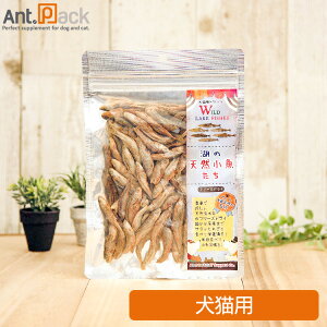 AD.DOGCAT t[YhC ΂̓VRLp 30gmlR|Xn6_܂(31023)