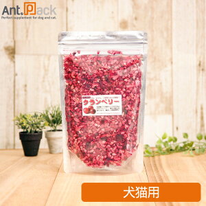 AD.DOGCAT t[YhC Nx[ Lp 28gmlR|Xn3_܂(336073)