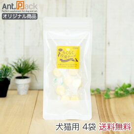 楽天市場】森乳 チューブダイエット 犬用 キドナ 腎疾患用 20g×20包 