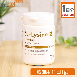 y1zyeBGX PE L-WpE_[ Lp 1g