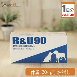 y1z R&U90 p ̏d30kgp 1
