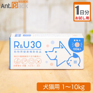 y1z R&U30 Lp ̏d1kg`10kgp1
