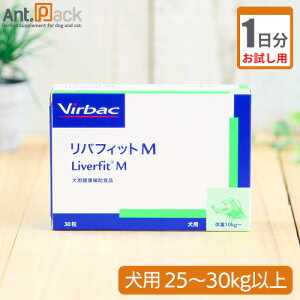 y1zrobN otBbgM p ̏d25kg`30kgȏp 2