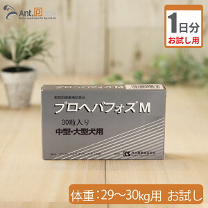 y1z vwptHXM i^E^pj ̏d29kg`30kgp 4