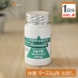 y1z vAg]20mg i^pj ̏d9kg`22kgp 1JvZ