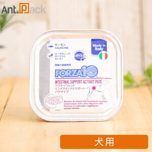 tHc@10 ANeBEFbg CeXeBi T[(ݒ) p 100gmlR|Xn6܂Łi13666j