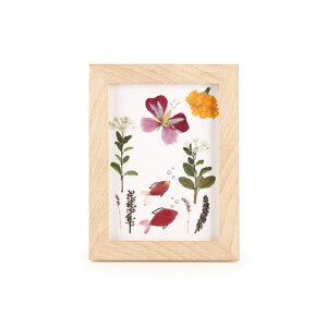 ���[���։� �L�b�J�[�����h Kikkerland �n�b�N���x���[�v���X�t�����[�t���[�� KHB02 Huckleberry Pressed Flower Frame ���j�[�N �G�� ��������G�� ��������O�b�Y �A���G�� �A�����J �A�����J�� �G�� ��